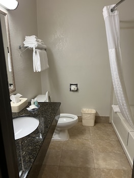 Room, 1 King Bed, Accessible, Non Smoking