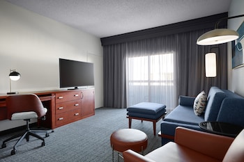 Suite, 1 King Bed with Sofa bed