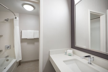 Suite, 1 King Bed with Sofa bed