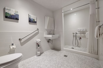 Room, 1 King Bed, Accessible (Shower)