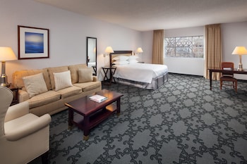 Junior King Suite with Sofa Sleeper