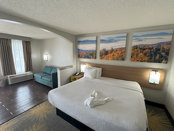 Standard Room, 1 King Bed, Accessible