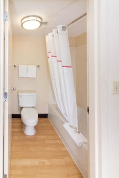 Premium Room, 1 King Bed (Smoke Free)