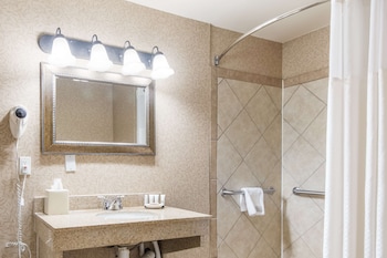 Room, 1 Queen Bed, Accessible (Roll In Shower)