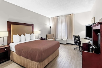 Room, 1 Queen Bed, Accessible (Roll In Shower)