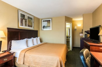 Standard Room, 1 King Bed, Non Smoking