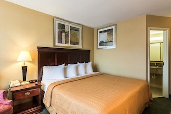 Standard Room, 1 King Bed, Non Smoking