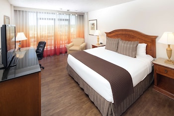 Room, 1 King Bed, Non Smoking