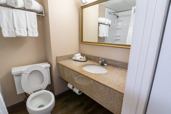Room, 1 King Bed