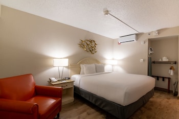 Room, 1 King Bed, Accessible, Pool View