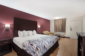 Deluxe Room, 1 King Bed, Accessible, Non Smoking (Roll-In Shower)