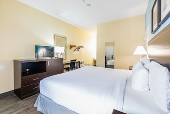 Standard Room, 1 King Bed, Accessible, Non Smoking