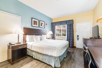 Standard Room, 1 King Bed, Accessible, Non Smoking