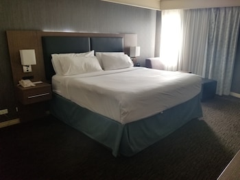 Standard Room, 1 King Bed, Accessible (Mobility Accessible)