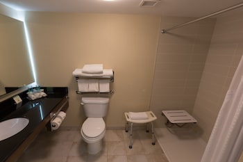 Standard Room, 1 Queen Bed, Accessible (Mobility)