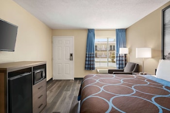 Room, 1 King Bed, Smoking