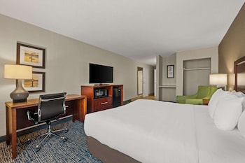 Standard Room, Roll-in Shower (King Room)