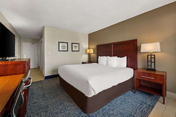 Room, 1 King Bed, Non Smoking, Pool View (Upgrade)