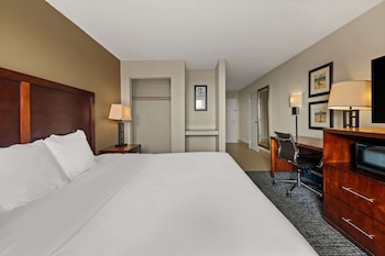 Room, 1 King Bed, Accessible, Non Smoking