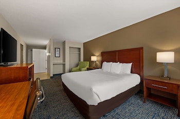 Standard Room, Roll-in Shower (King Room)