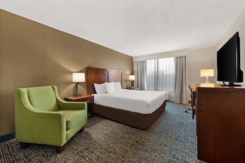 Room, 1 King Bed, Non Smoking (Pet Friendly)