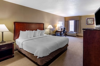 Standard Room, 1 King Bed, Accessible, Non Smoking