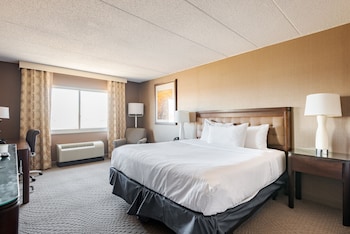 Room, 1 King Bed, Accessible, Non Smoking (Mobility, Roll-In Shower)