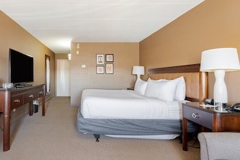 Studio Suite, 1 King Bed, Non Smoking