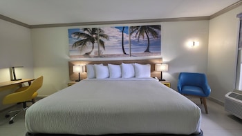 Room, 1 King Bed, Non Smoking