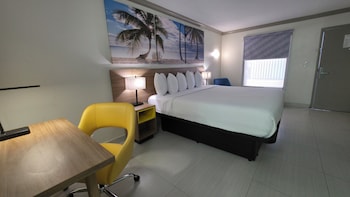 Room, 1 King Bed, Non Smoking