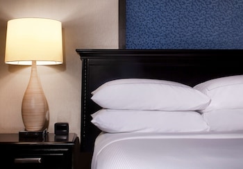 Room, 1 King Bed