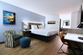 Standard Room, 1 King Bed, Non Smoking, Refrigerator & Microwave
