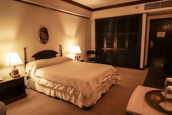 Standard Single Room, 1 Double Bed