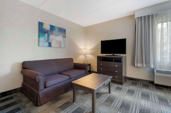 Suite, 1 King Bed, Non Smoking, Kitchenette (Separate Living Room)