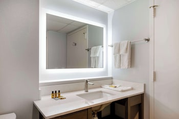 Standard Room, 1 King Bed, Non Smoking, Kitchen (Walk-in Shower)