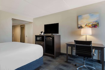 Standard Room, 1 King Bed, Accessible, Non Smoking