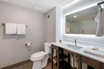 Standard Room, 1 King Bed, Non Smoking, Kitchen (Walk-in Shower)