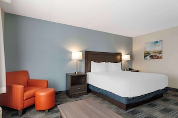 Business Room, 1 King Bed, Non Smoking, Refrigerator & Microwave