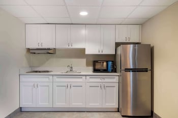 Standard Room, 1 King Bed, Non Smoking, Kitchen (Walk-in Shower)