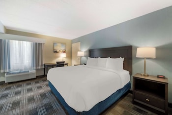 Standard Room, 1 King Bed, Non Smoking, Kitchen (Walk-in Shower)