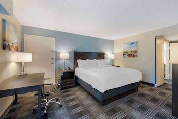 Standard Room, 1 King Bed, Non Smoking, Kitchen (Walk-in Shower)
