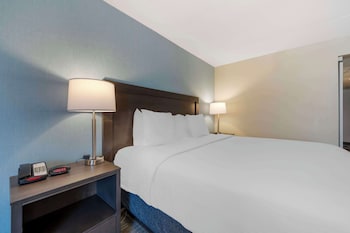 Standard Room, 1 King Bed, Accessible, Non Smoking