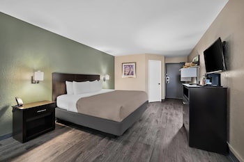 Room, 1 King Bed, Non Smoking