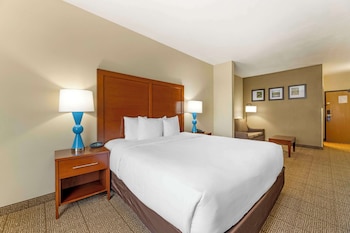 Suite, 1 King Bed with Sofa bed, Accessible, Non Smoking