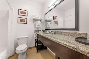 Suite, 1 King Bed with Sofa bed, Non Smoking