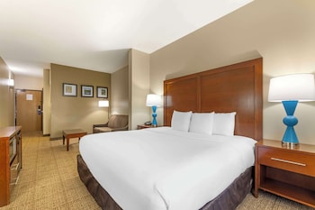 Suite, 1 King Bed with Sofa bed, Accessible, Non Smoking