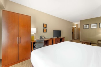 Suite, 1 King Bed with Sofa bed, Accessible, Non Smoking