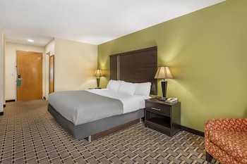 Room, 1 King Bed, Non Smoking