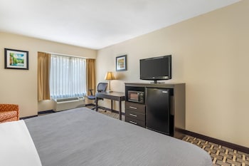 Room, 1 King Bed, Non Smoking