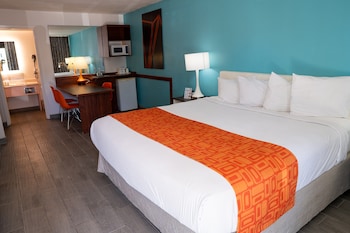 Room, 1 King Bed, Non Smoking